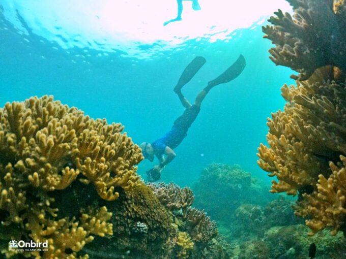 Phu Quoc: Small-Group Pro Snorkeling Tour by Speedboat - Frequently Asked Questions