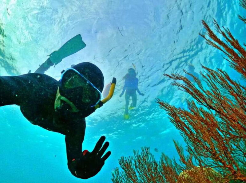 Phu Quoc Small-group Snorkeling to the Coral Jungle Reef - Itinerary Highlights