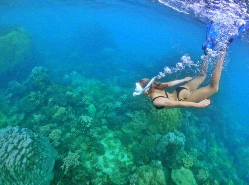 Phu Quoc Small-group Snorkeling to the Coral Jungle Reef - Coral Reef and Marine Life