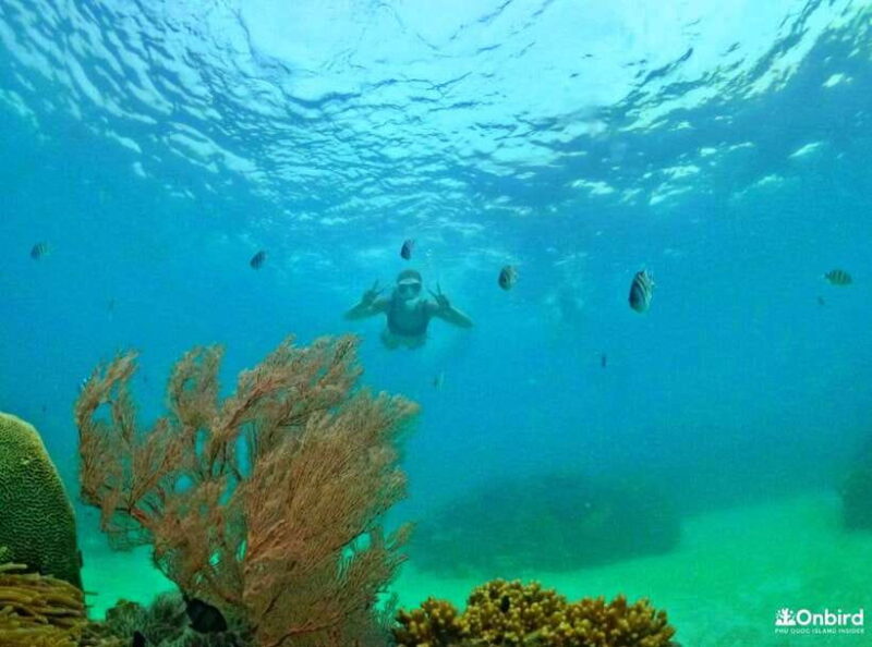 Phu Quoc Small-group Snorkeling to the Coral Jungle Reef - Inclusions and Exclusions