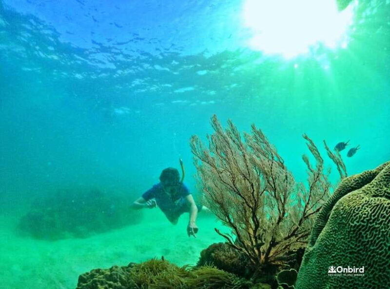 Phu Quoc Small-group Snorkeling to the Coral Jungle Reef - Important Information and Restrictions