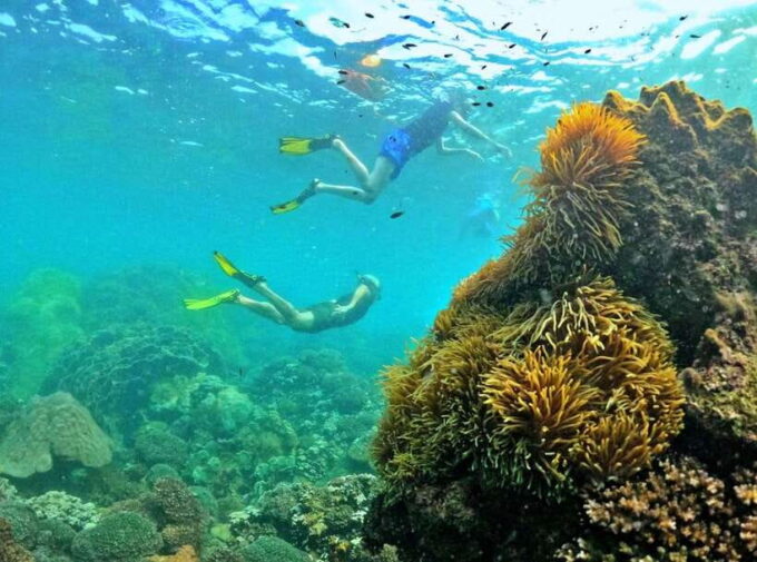 Phu Quoc Small-group Snorkeling to the Coral Jungle Reef - Safety and Training
