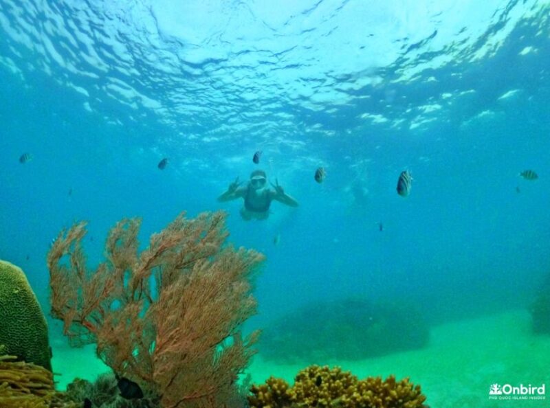 Phu Quoc Small-group Snorkeling to the Coral Jungle Reef - Snorkeling Depth and Duration