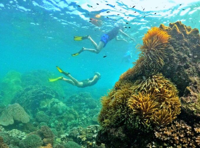 Phu Quoc Small-group Snorkeling to the Coral Jungle Reef - Inclusions and Whats Provided
