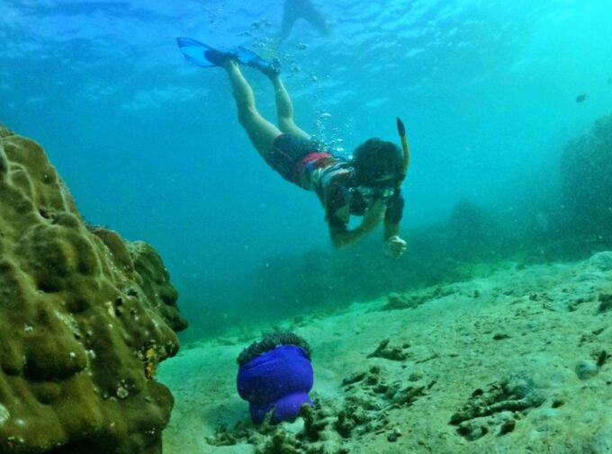 Phu Quoc Small-group Snorkeling to the Coral Jungle Reef - Restrictions and Additional Information