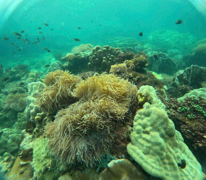 Phu Quoc: Snorkeling and Island Hopping by Speedboat & Lunch - Itinerary and Activities