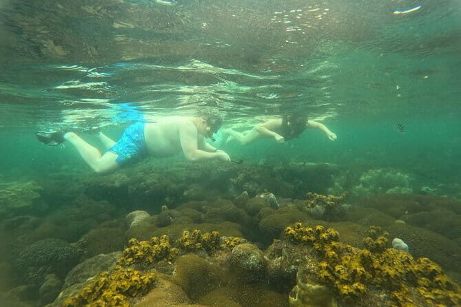 Phu Quoc: Snorkeling and Island Hopping By Speedboat with Lunch - What to Expect from a Day in the Archipelago
