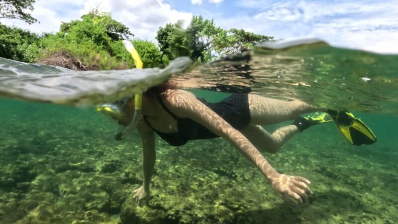 Phu Quoc: Snorkeling Discover Southern, Northern Coral Reefs - Underwater Filming and Photography