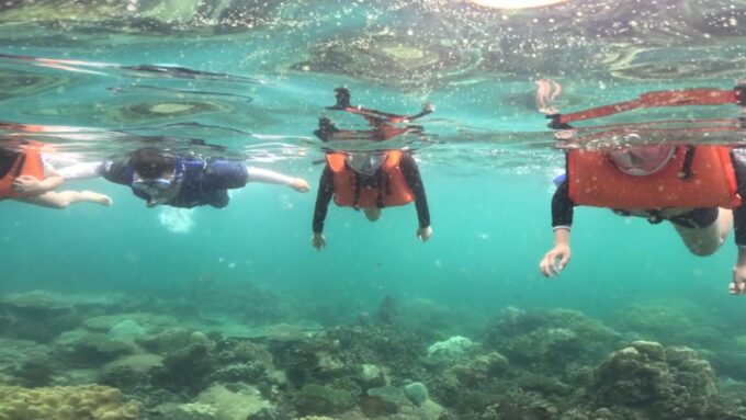 Phu Quoc: Snorkeling Discover Southern, Northern Coral Reefs - Included Amenities
