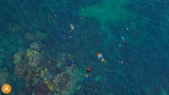Phu Quoc: Snorkeling Discover Southern, Northern Coral Reefs - Exclusions and Limitations