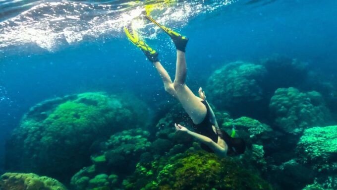 Phu Quoc: Snorkeling Discover Southern, Northern Coral Reefs - Tour Booking Information