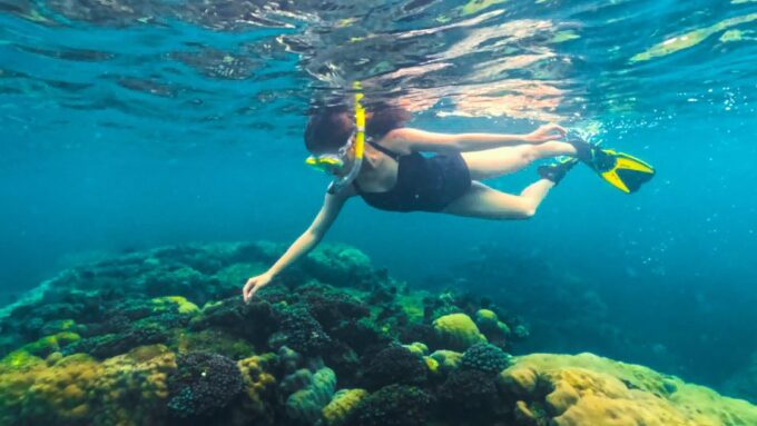 Phu Quoc: Snorkeling Discover Southern, Northern Coral Reefs - Frequently Asked Questions