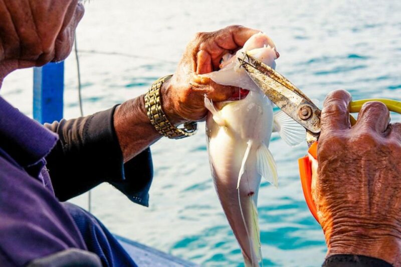 Phu Quoc: Snorkeling & Fishing in the South - Pickup and Drop-off