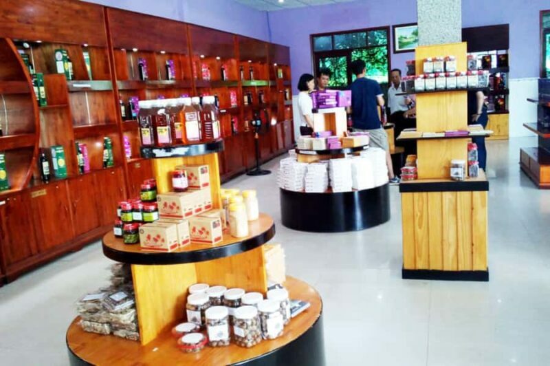 Phu Quoc South Island Tour  Lunch & No-Pressure Shopping - Key Points
