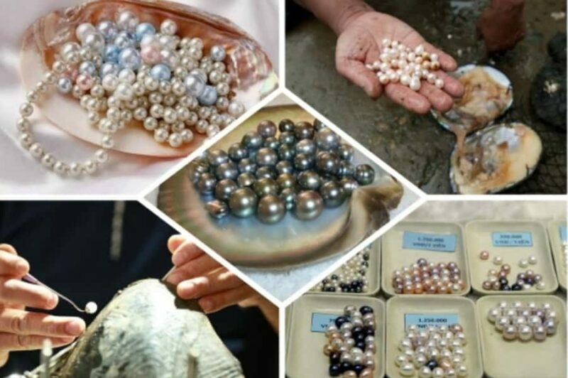 Phu Quoc South Island Tour  Lunch & No-Pressure Shopping - An Engaging Start with Cultural Insights