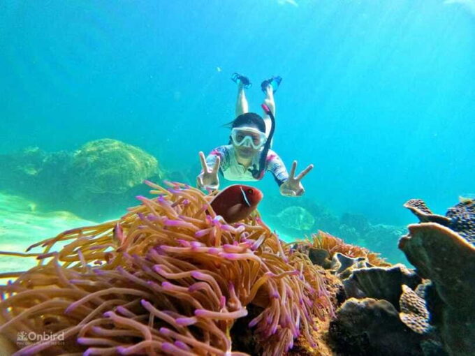 Phu Quoc: Speed Boat Tour 4 Islands - 2 Reefs Snorkeling - Since You Asked