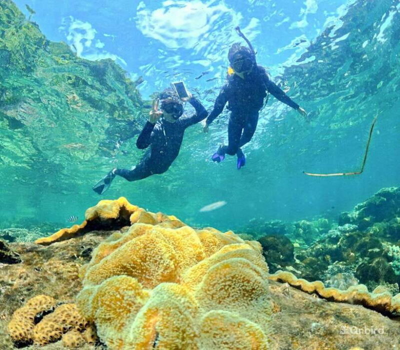 Phu Quoc Speedboat Pro Snorkeling: 4 Islands-2 Reefs & Meal - Itinerary and Experience