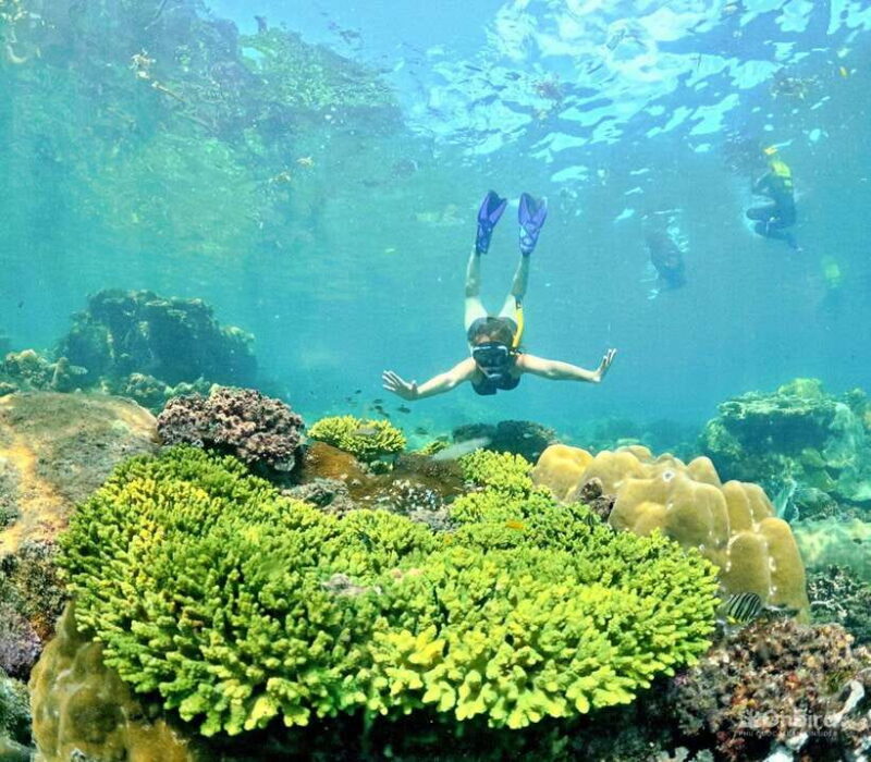Phu Quoc Speedboat Pro Snorkeling: 4 Islands-2 Reefs & Meal - Important Information and Guidelines