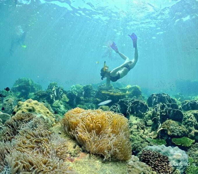 Phu Quoc Speedboat Pro Snorkeling: 4 Islands-2 Reefs & Meal - Customer Testimonials