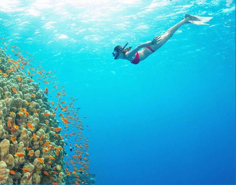 Phu Quoc: Speedboat Tour of 4 Islands With Snorkeling & BBQ - Hotel Pickup and Transfer
