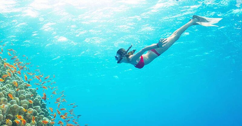 Phu Quoc: Speedboat Tour of 4 Islands With Snorkeling & BBQ - Snorkeling at Kim Quy Island