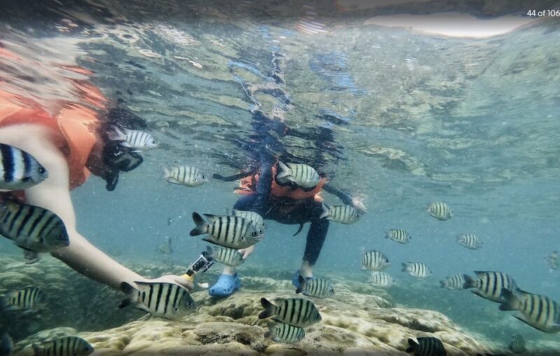 Phu Quoc: Speedboat Tour of 4 Islands With Snorkeling & BBQ - Snorkeling at Buom Island