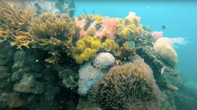 Phu Quoc: Speedboat Tour of 4 Islands With Snorkeling & BBQ - Seafood BBQ Lunch