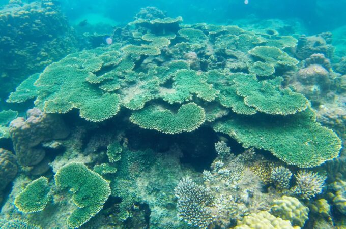 Phu Quoc: Speedboat Tour to 3 Islands in the South - Included in the Tour