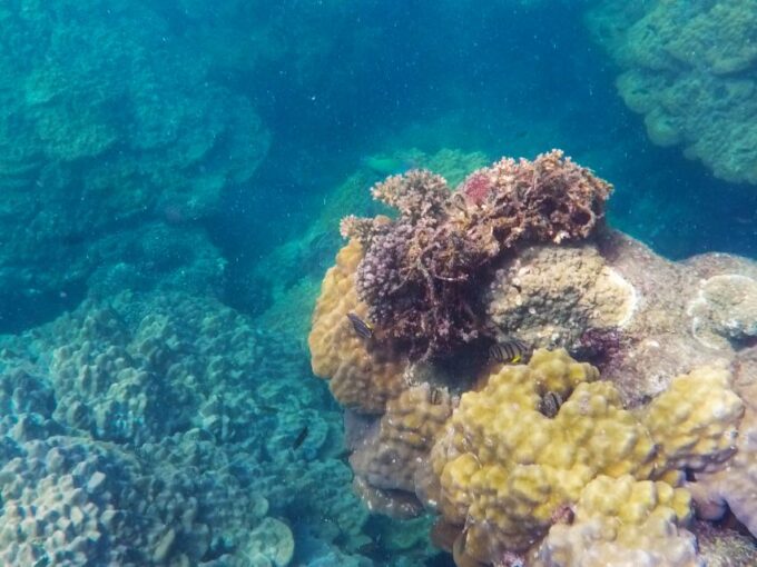 Phu Quoc: Speedboat Tour to 3 Islands in the South - Important Considerations