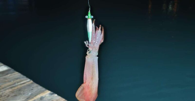 Phu Quoc: Squid Fishing Tour With Sunset Views & Dinner - Additional Information