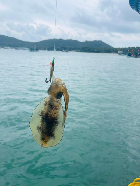 Phu Quoc: Squid Fishing Tour With Sunset Views & Dinner - Reviews