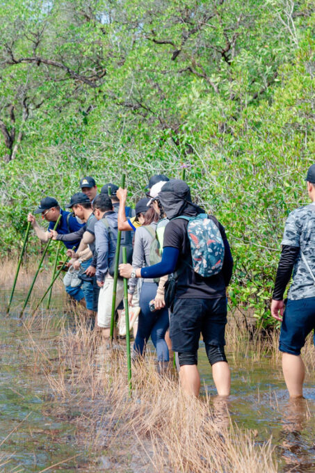 Phu Quoc Trekking and SUP on Rach Tram River - Scenic Drive to Phu Quoc National Forest