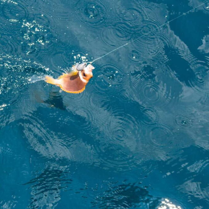 Phu Quoc Trip 3: 3 Islands Full-Day Snorkeling Tour - Relaxation and Refreshments on Board