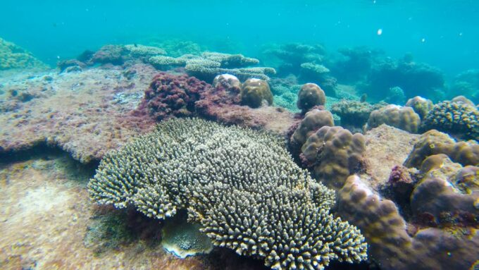 Phu Quoc Trip 3: 3 Islands Full-Day Snorkeling Tour - Transfers and Pickup Details