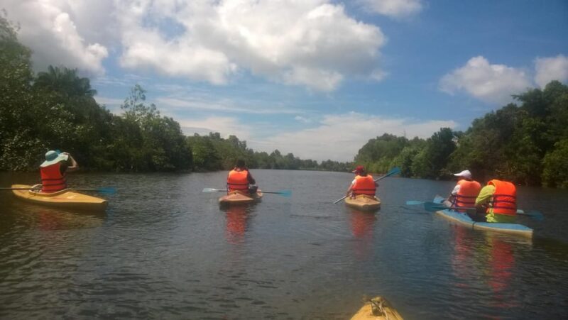 Phu Quocs Northern Islands & Kayak Adventure: Explore Now - Pricing and Inclusions