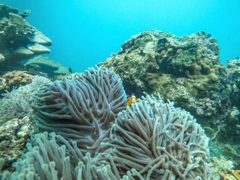Phuket: 2 Days Itinerary Similan & James Bond Islands Tour - What to Bring and Not Allowed