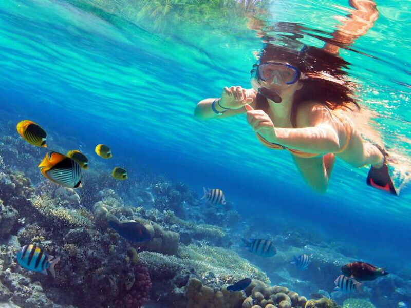 Phuket: 3 Khai Islands Snorkeling and Relaxation Tour - Key Points