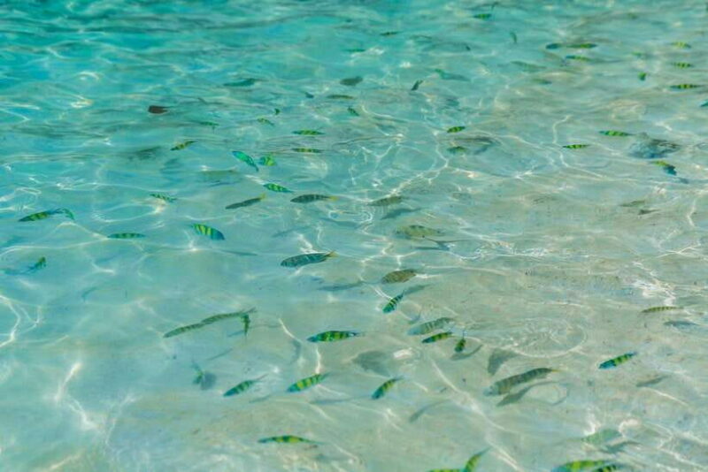 Phuket: 3 Khai Islands Snorkeling and Relaxation Tour - The Speedboat Ride