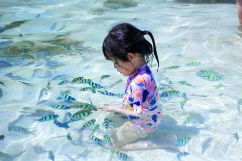 Phuket: 3 Khai Islands Snorkeling and Relaxation Tour - Return and Optional Free Time