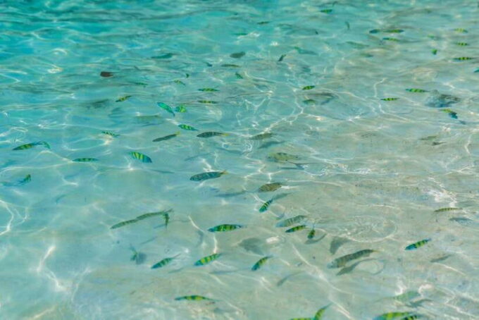 Phuket: 3 Khai Islands Snorkeling and Relaxation Tour - Koh Khai Nok