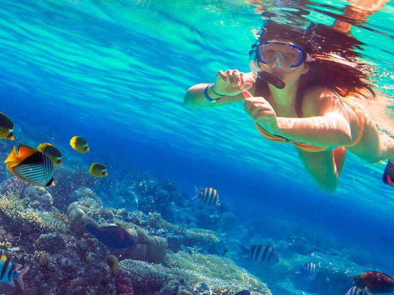 Phuket: 3 Khai Islands Snorkeling Tour - Key Points