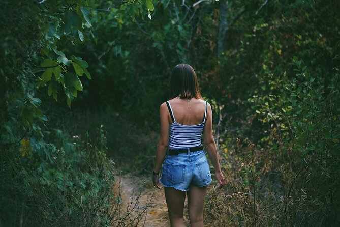 Phuket Adventure Quest: Khao Phra Thaeo Trek - Highlights of the Trek