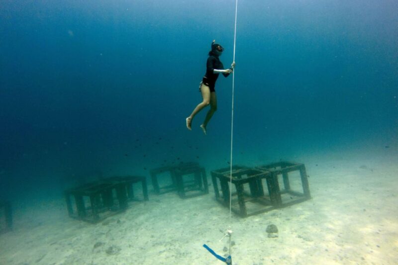 Phuket: Aida/Ssi/Molchanovs Freediving Level 1 - 3 Days - Course Structure