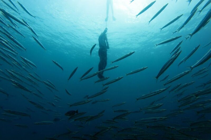Phuket: Aida/Ssi/Molchanovs Freediving Level 1 - 3 Days - Experience Highlights