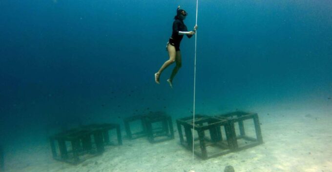 Phuket: Aida/Ssi/Molchanovs Freediving Level 1 - 3 Days - Frequently Asked Questions