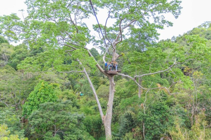 Phuket: ATV and Zipline Panoramic Adventure - Customer Feedback