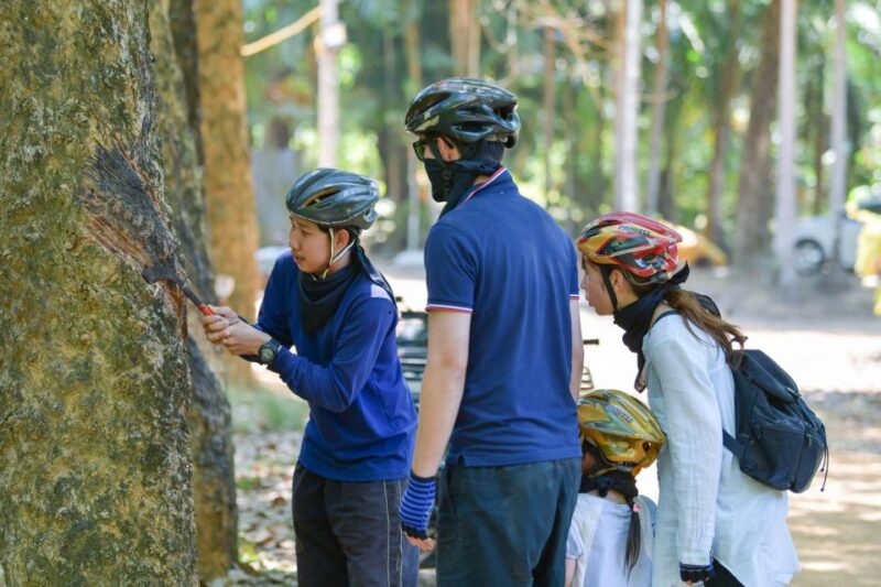 Phuket: ATV Mangrove Jungle & Hidden Beach Tour - Key Points