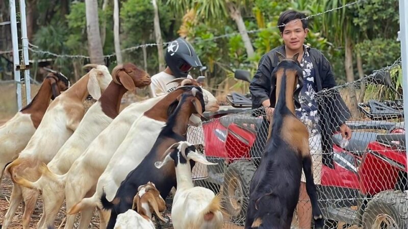 Phuket: ATV Ride With Secret Sea Viewpoints and Swing - Visiting the Secret Viewpoint