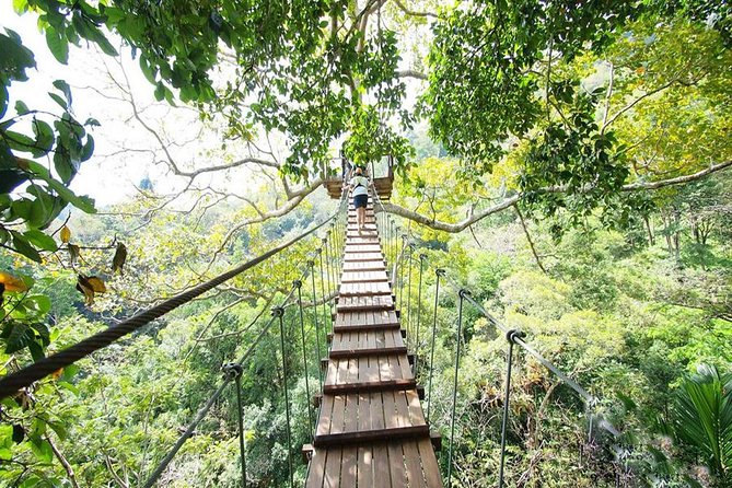 Phuket ATV With Ziplines Adventure Tours - Included in the Experience