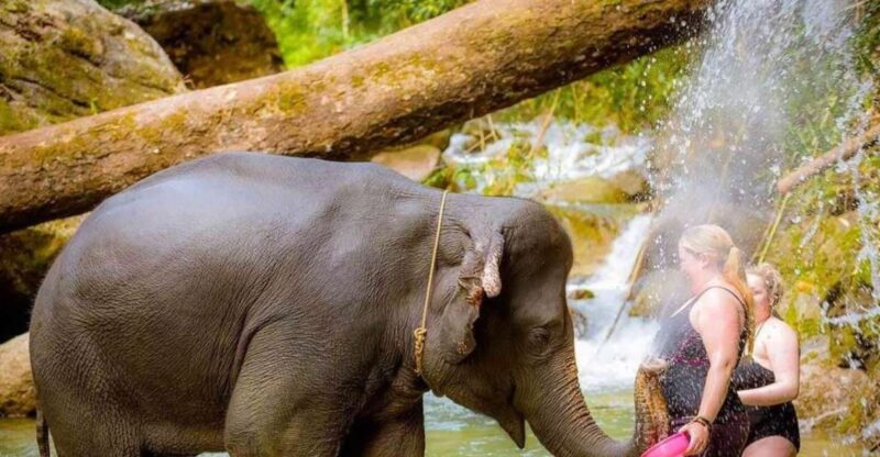 Phuket: Bamboo Rafting, ATV (Optional), Elephant Bathing. - Key Points
